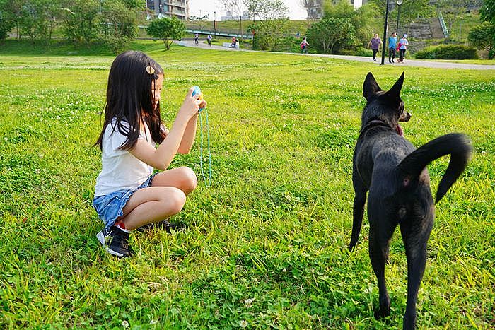 愛犬成為她的專屬模特