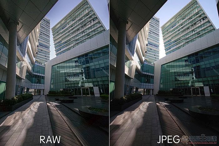 RAW 與 JPEG 的差異