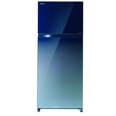 【TOSHIBA東芝】510L 雙門變頻電冰箱 GR-AG55TDZ(GG)