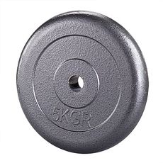 【BLADEZ】5 KG 複合鐵槓片(兩入)