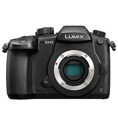 送原廠包+登錄送原廠電池+把手+編輯軟體(108.3.31前)~ Panasonic GH5 機身 BODY (GH-5,公司貨)