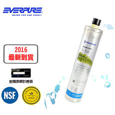 EVERPURE 美國原裝進口濾心 S-100 全新包裝