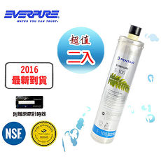 EVERPURE 美國原裝進口濾心 S-100 全新包裝 (2入)