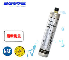 EVERPURE 美國原裝進口濾心 BH2
