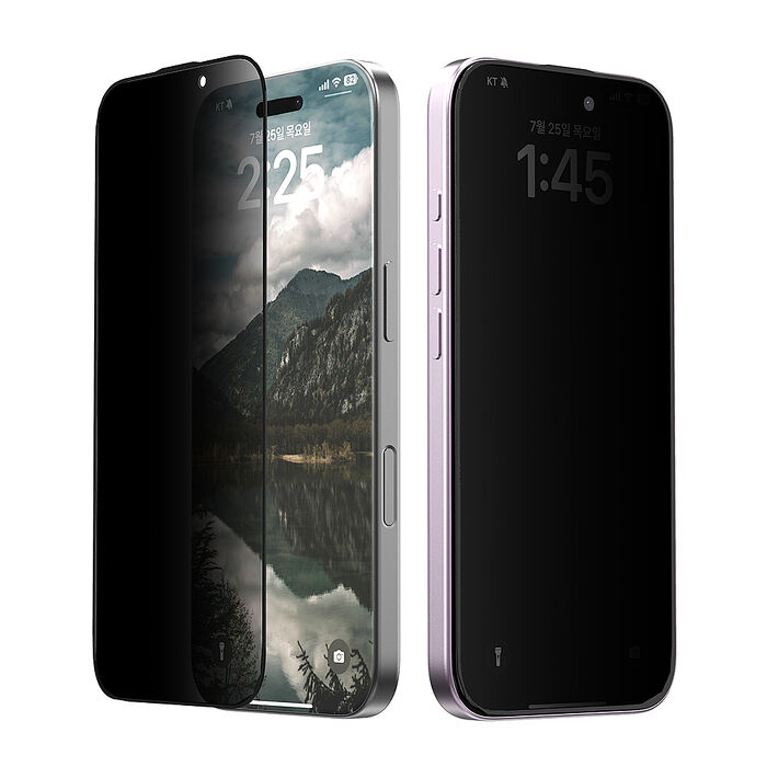 Araree Apple iPhone 16 系列 防窺強化玻璃螢幕保護貼(2片裝)16 Pro