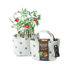 【Light+Bio】Vegetable basket小植栽五彩辣椒