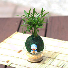 【Light+Bio】萌寵卡通綠苔球-叮噹