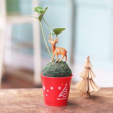 【Light+Bio】耶誕麋鹿綠苔球-幸運樹