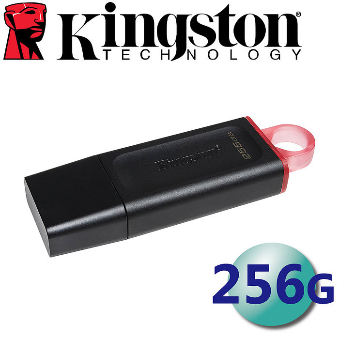 Kingston 金士頓 256GB DataTraveler Exodia DTX USB3.2 隨身碟