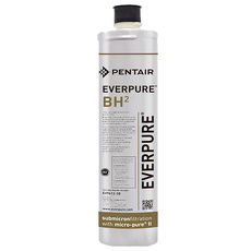 Everpure愛惠浦家用抑垢型濾心BH2