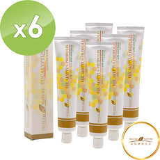 【Health Nature】澳洲尤加利蜂膠牙膏110g 6入