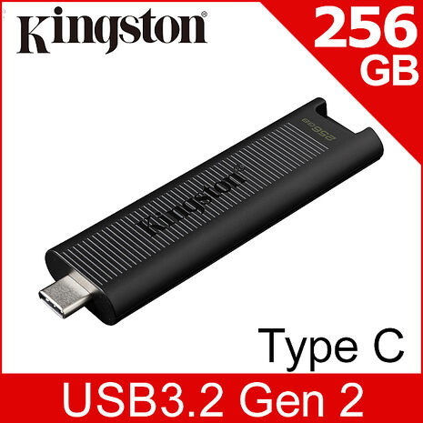 **限時特價**金士頓 Kingston DataTraveler Max TYPE-C USB 3.2 Gen 2 隨身碟 (DTMAX/256GB)