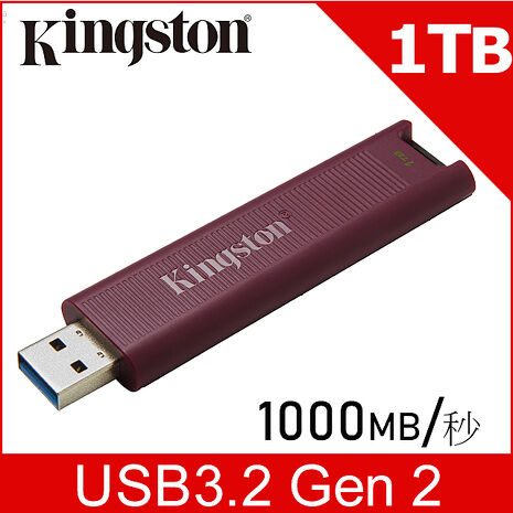 金士頓 Kingston DataTraveler Max Type-A USB3.2 Gen2 隨身碟 (DTMAXA/1TB)