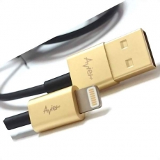 Avier極速 Apple認證晶片 8Pin Lightning USB充電傳輸線 100cm 沉穩金