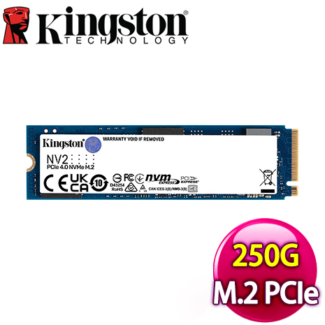Kingston 金士頓 NV2 250G M.2 PCIe SSD固態硬碟【三年保】
