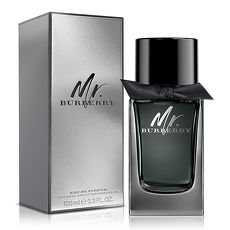 Burberry Mr. Burberry 男性淡香精(100ml)
