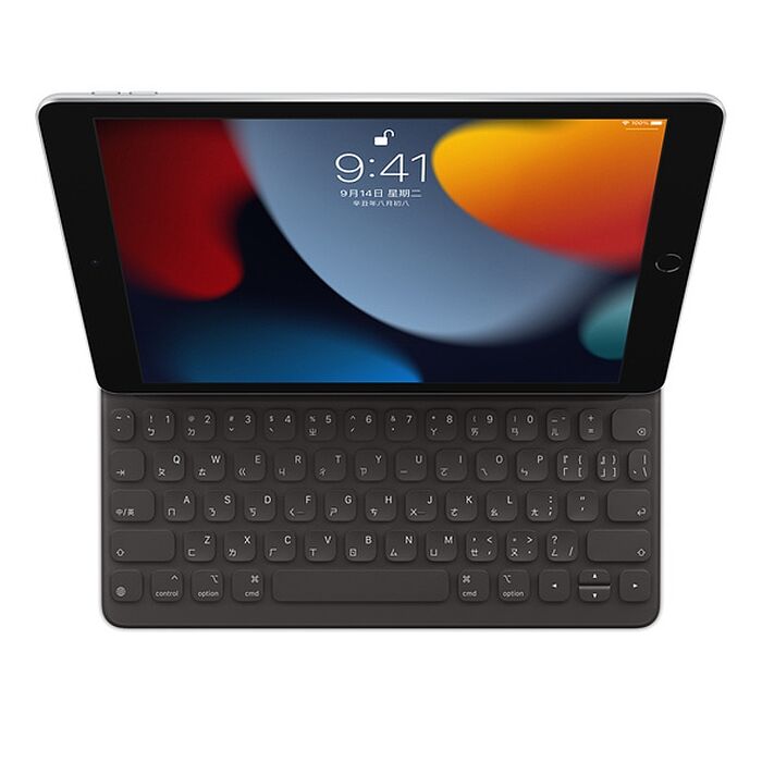 Apple Smart keyboard MX3L2TA/A 聰穎鍵盤-黑