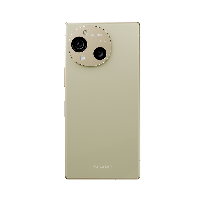 SHARP AQUOS R10_12G/256G-(米)(5G)_TWM