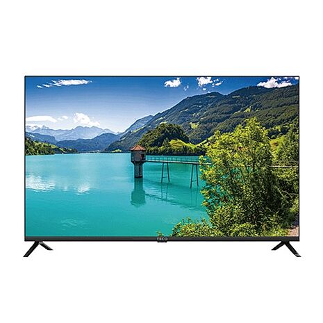 【結帳更省】(無安裝)東元 43吋FHD 低藍光液晶顯示器(無視訊盒) TL43A10TRE