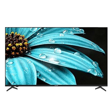 【智慧家庭】(送基本安裝)夏普 55吋4K GoogleTV連網液晶顯示器 4T-C55FJ1X
