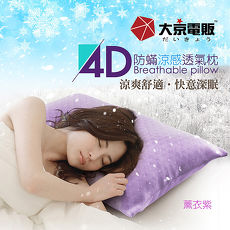 日本【大京電販】4D防?涼感枕 (透氣/纖維棉枕/防蹣/子母枕/可水洗/彈力高支撐/冰涼絲/天絲枕/舒柔眠/可機洗)