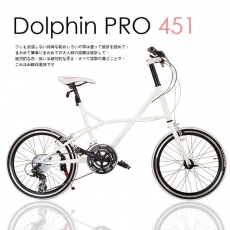 【AiBIKE】 SHIMANO 20吋24速 Dolphin PRO 小徑車 雪白限定版 升級451輪組 七夕情人款 小徑車