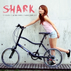 【AiBIKE】SHIMANO 20吋27速 鯊魚小徑車 二代進階款 小徑車