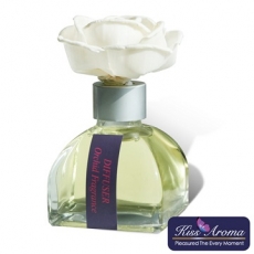 【Kiss Aroma】紫蝶愛戀香氛精油擴香瓶_璀璨蘭花100ml(特賣)