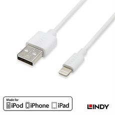 Apple認證Lightning(8pin)轉USB傳輸線 50cm